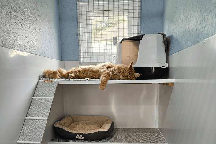 Chilling in his spacious room