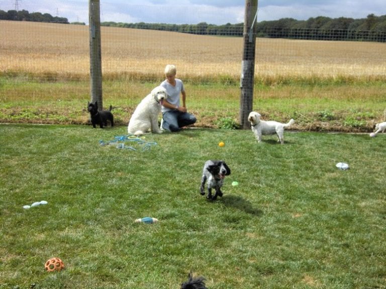 Canada Farm Boarding Kennel and Cattery