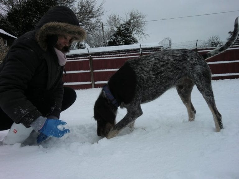 Canada Farm Boarding Kennel and Cattery